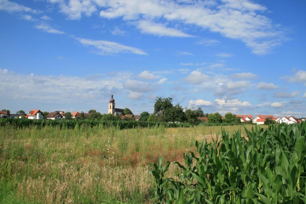 Appartamento Odas Feriendomizil Europapark Kappel-Grafenhausen Esterno foto